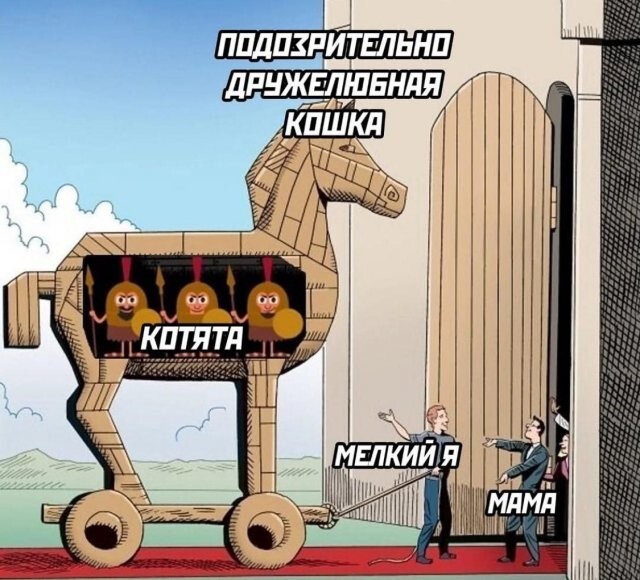 Скрины из соцсетей