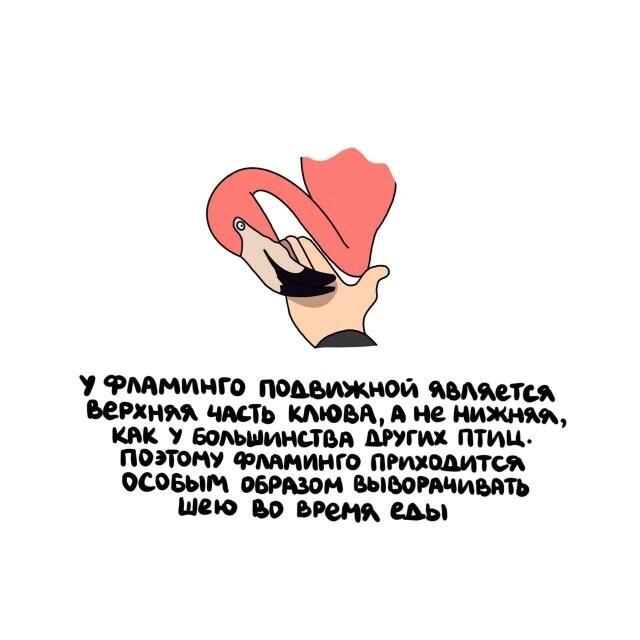 А вдруг ты не знал…