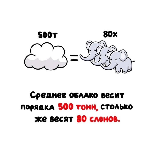 А вдруг ты не знал…