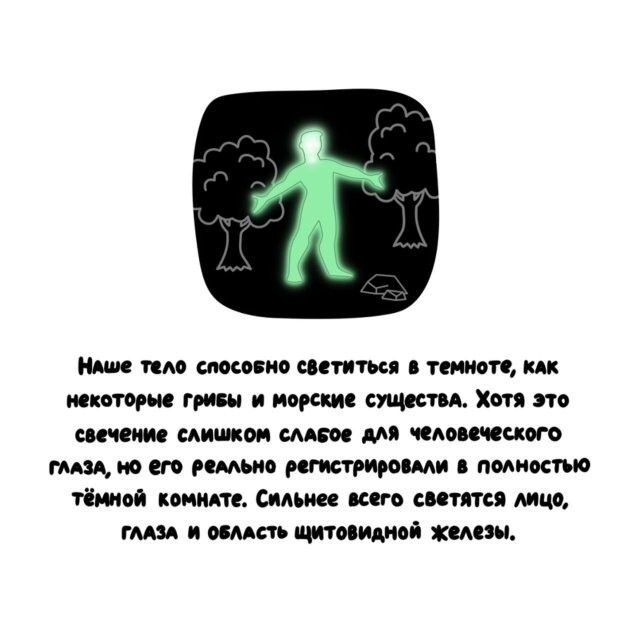 А вдруг ты не знал…