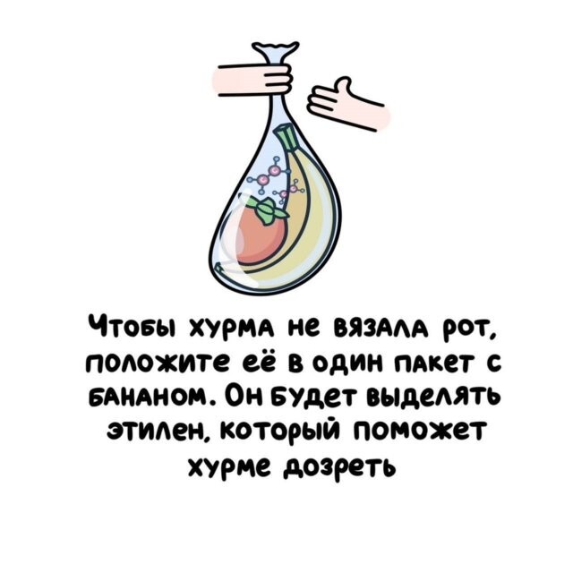 А вдруг ты не знал…