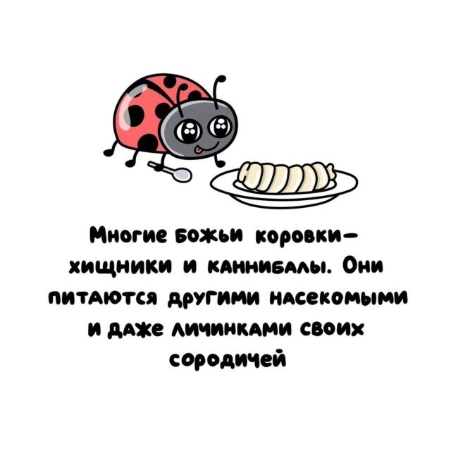 А вдруг ты не знал…