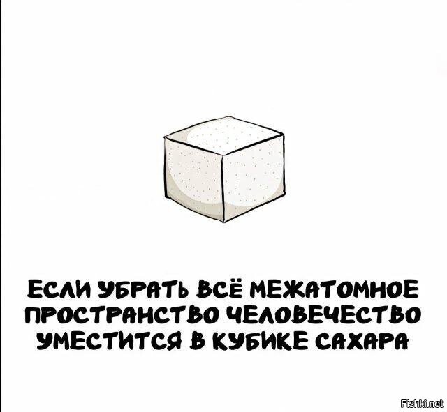 Солянка от 09.06.2025