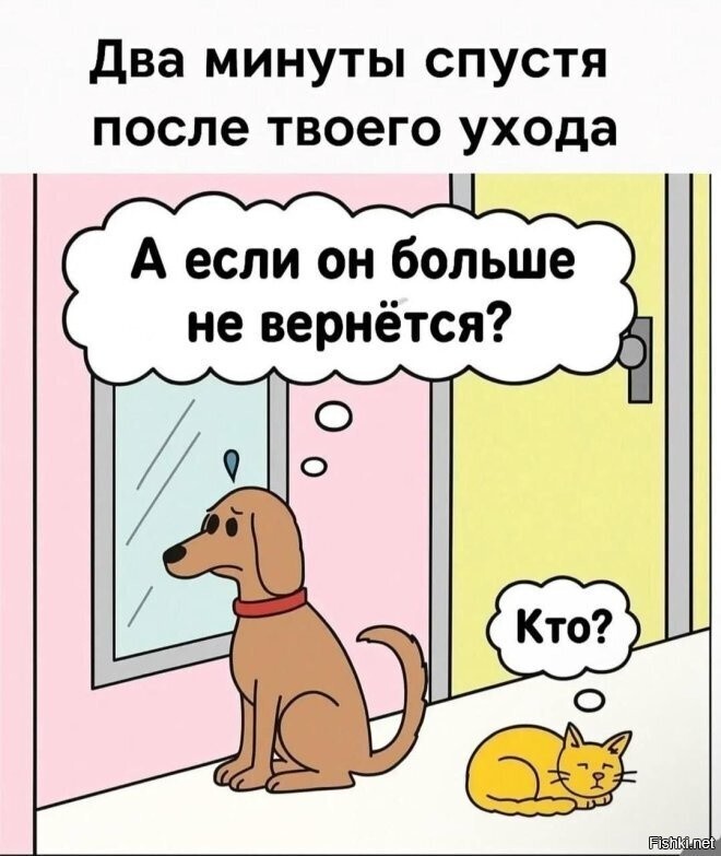 Солянка от 09.06.2025