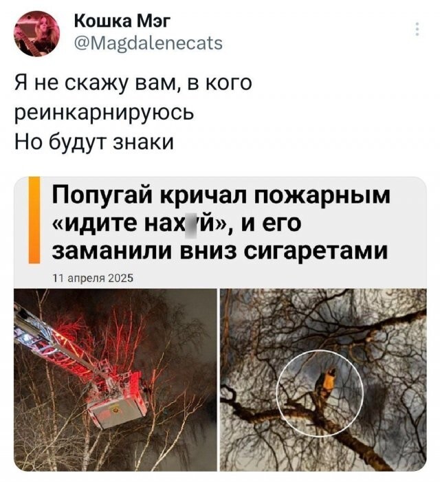 Не ищите здесь смысл. Здесь в основном маразм