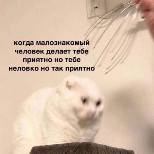 Не ищите здесь смысл. Здесь в основном маразм