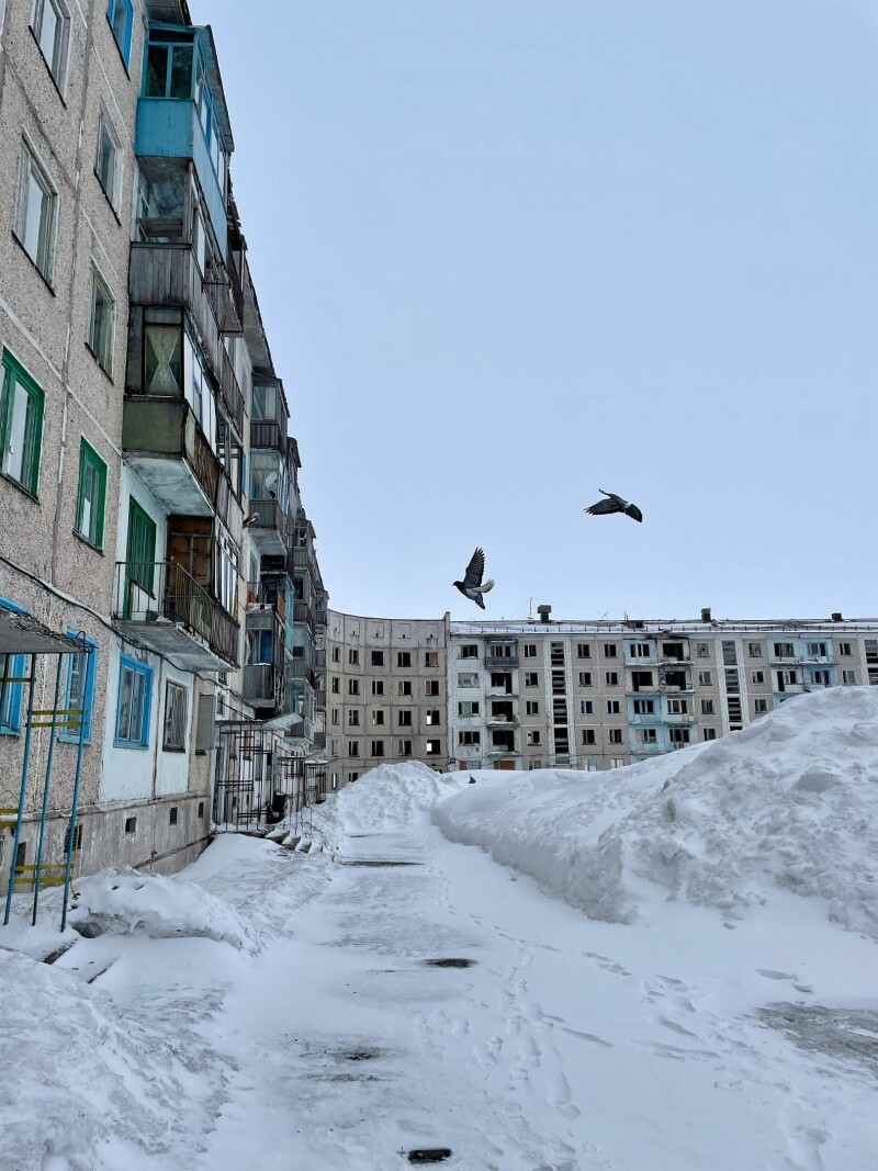 Неореализма вам в ленту