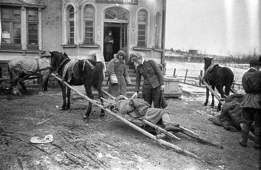 Доставка раненых на волокушах под Витебском