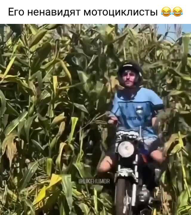 С днём мотоциклиста 