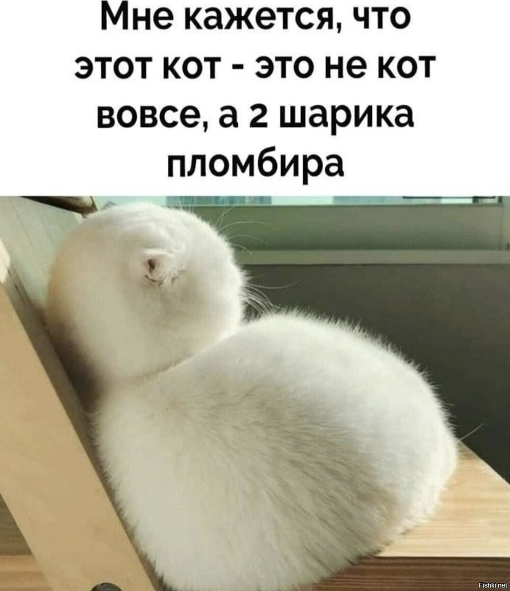 Доброе утро