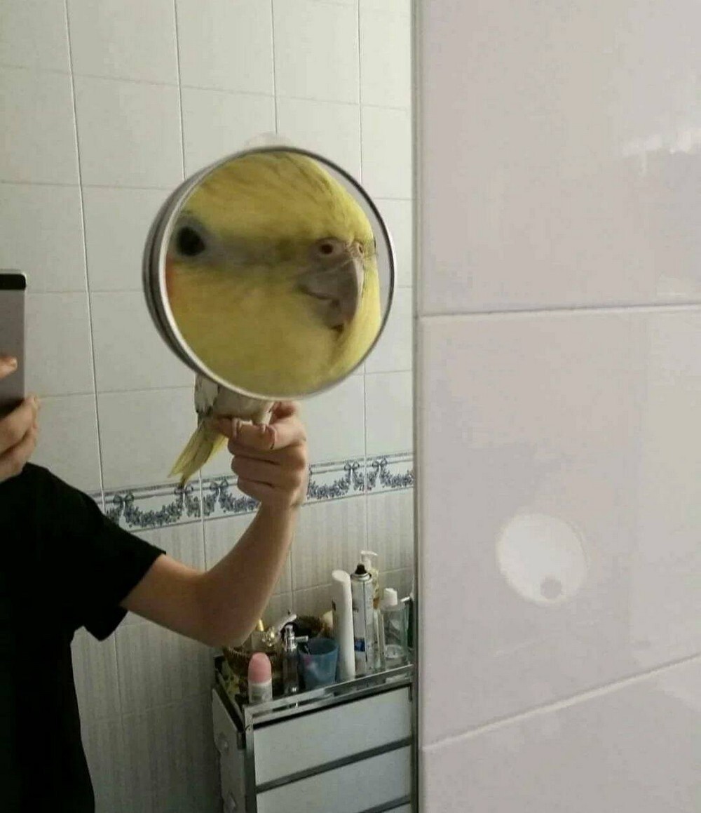 На общую тему 