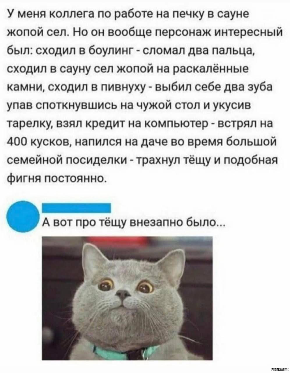 Солянка от 10.06.2025