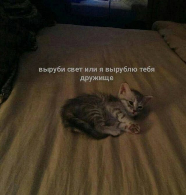 Скрины из соцсетей