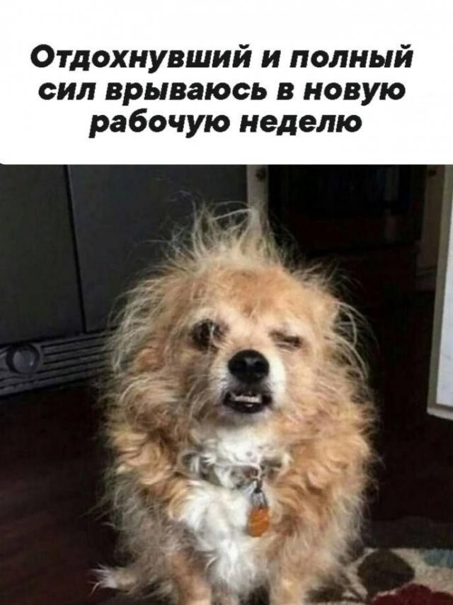 Скрины из соцсетей