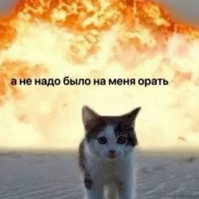 Скрины из соцсетей
