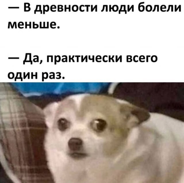Скрины из соцсетей