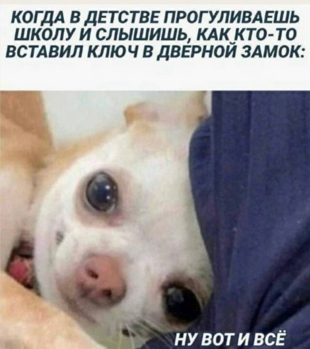 Скрины из соцсетей