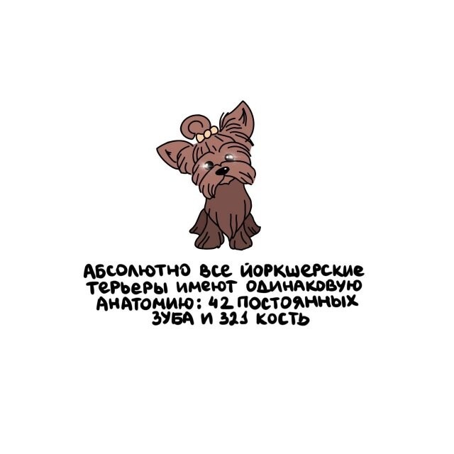 А вдруг ты не знал…