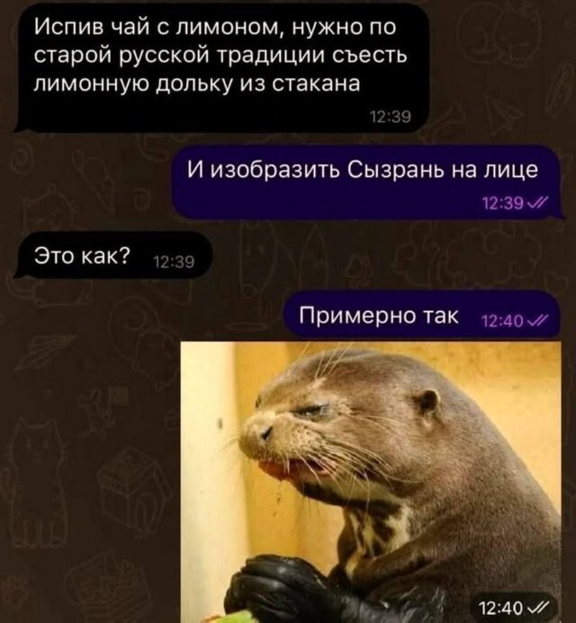 Не ищите здесь смысл. Здесь в основном маразм