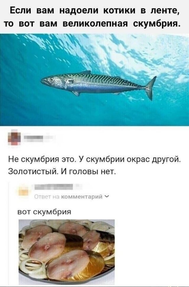 Не ищите здесь смысл. Здесь в основном маразм