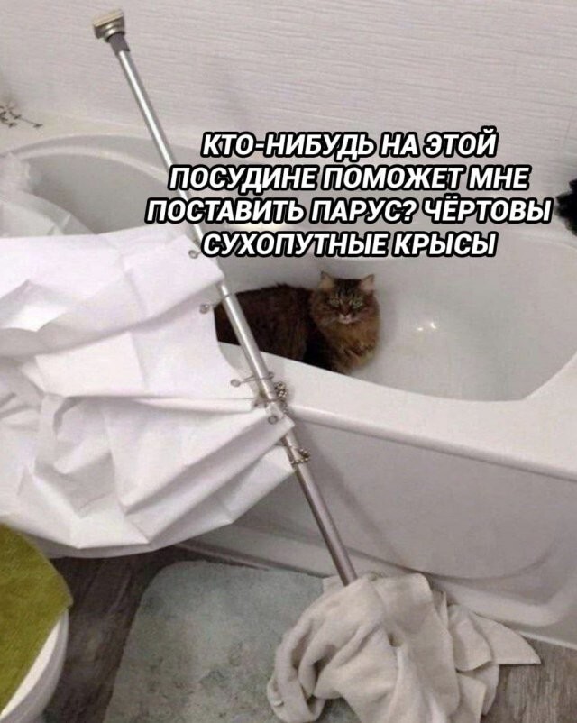 Не ищите здесь смысл. Здесь в основном маразм