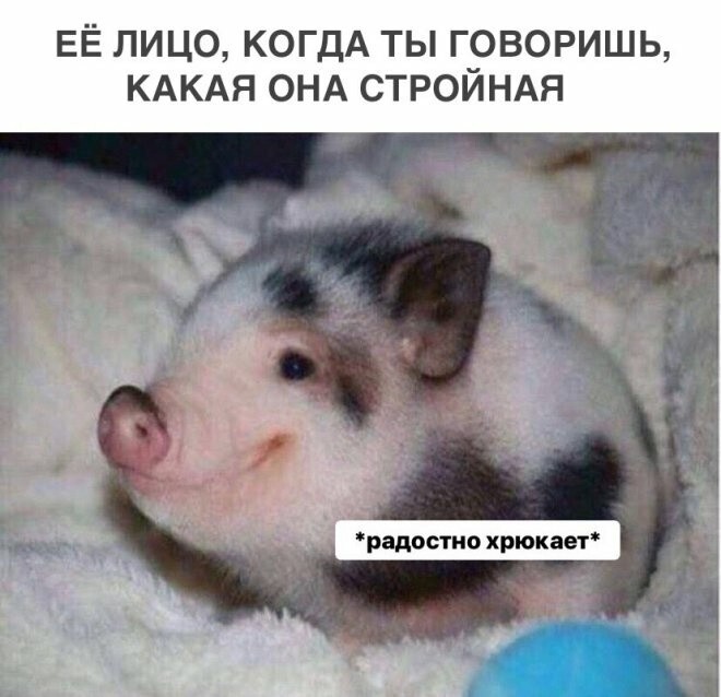 Продолжаем барражировать соцсети