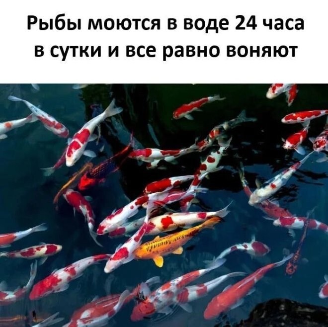 Продолжаем барражировать соцсети