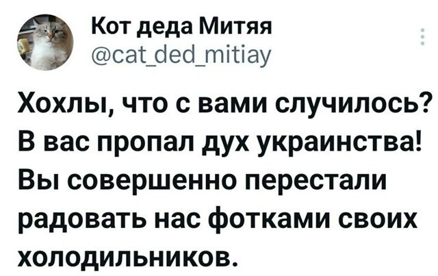 О политике и не только