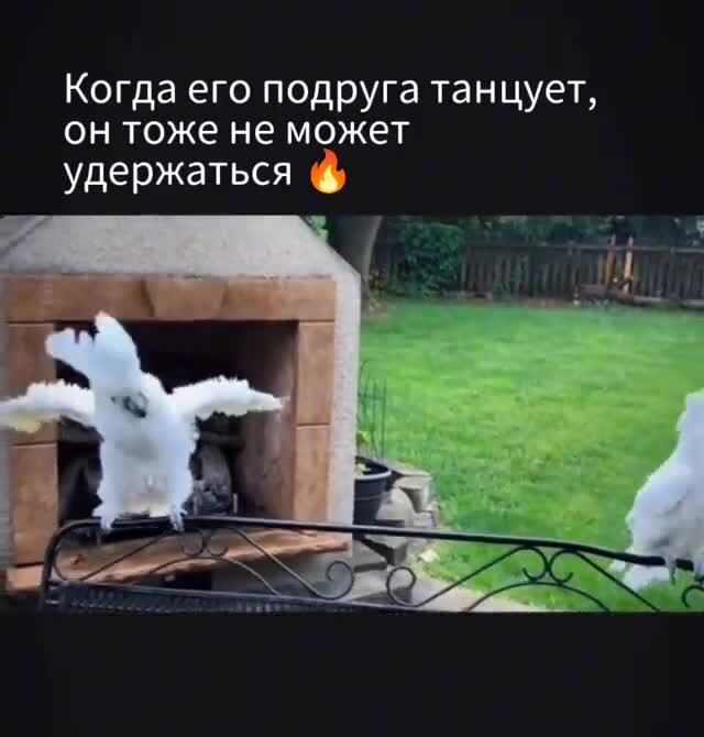 Солянка от 11.06.2025 