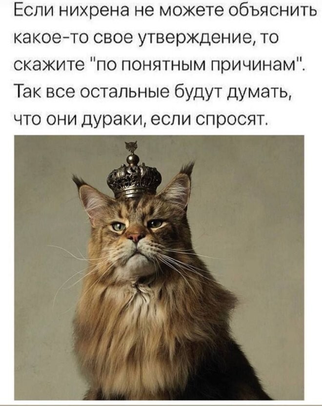 Смешные картинки