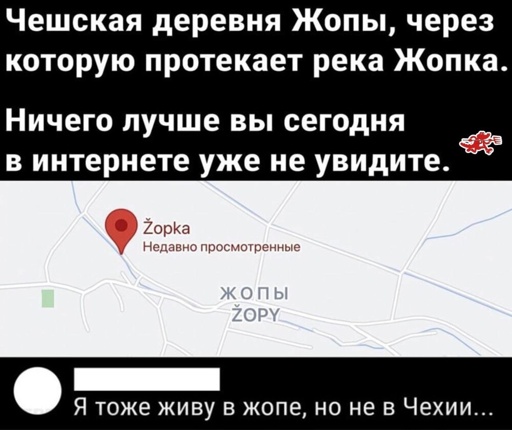 Смешные картинки