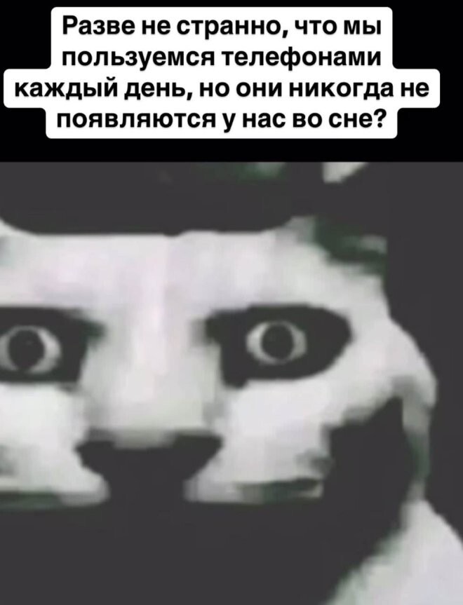 Смешные картинки