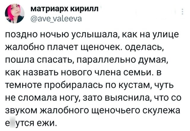 Скрины из соцсетей