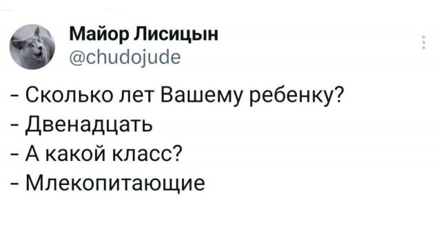 Скрины из соцсетей