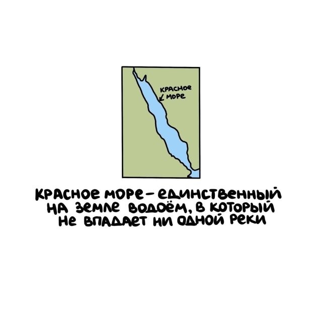 А вдруг ты не знал…