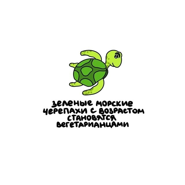 А вдруг ты не знал…
