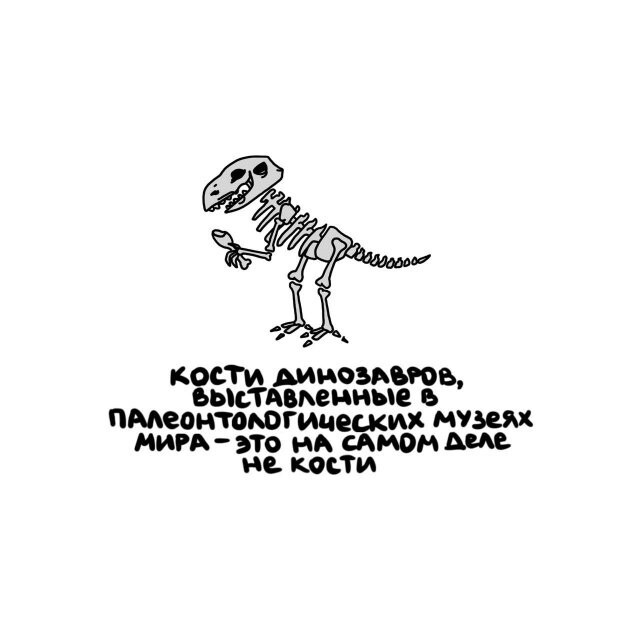 А вдруг ты не знал…