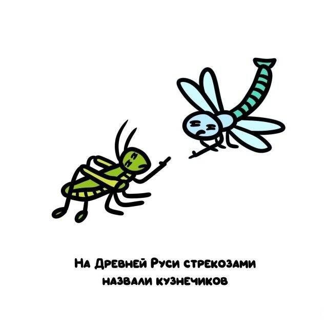 А вдруг ты не знал…