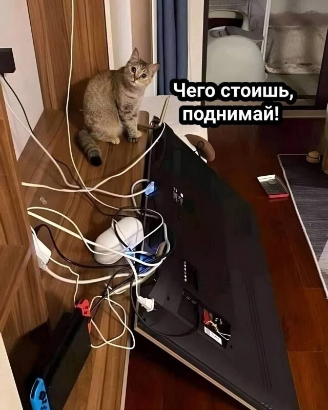 Не ищите здесь смысл. Здесь в основном маразм