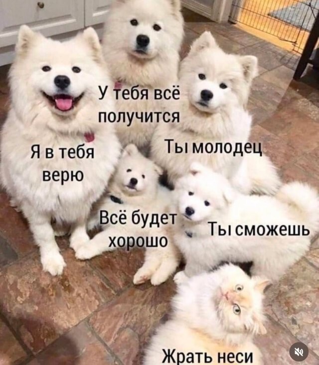 Не ищите здесь смысл. Здесь в основном маразм