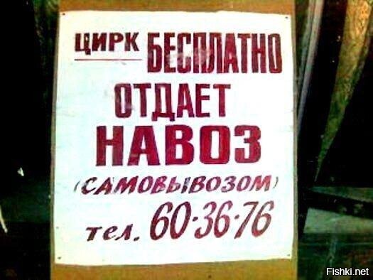 Кто-то хочет в цирк сходить