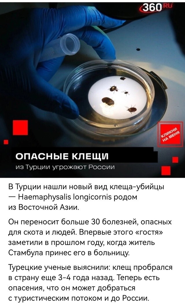 Ну, вернёмся к нашим баранам...
