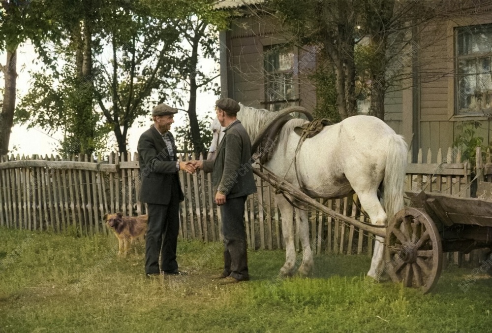 Подборка душевных и ярких фотографий деревенской жизни в СССР