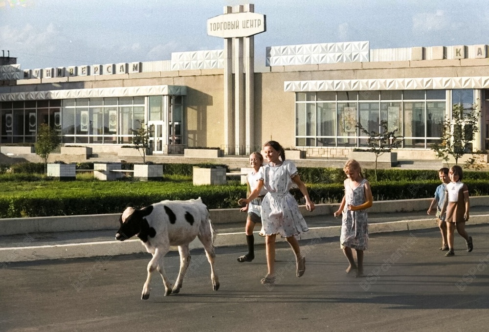 Подборка душевных и ярких фотографий деревенской жизни в СССР