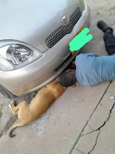 АвтоВсячина