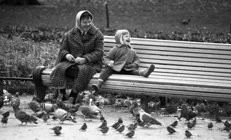 На скамейке в парке. Вс. Тарасевич, 1961–1969 годы, Ленинград.