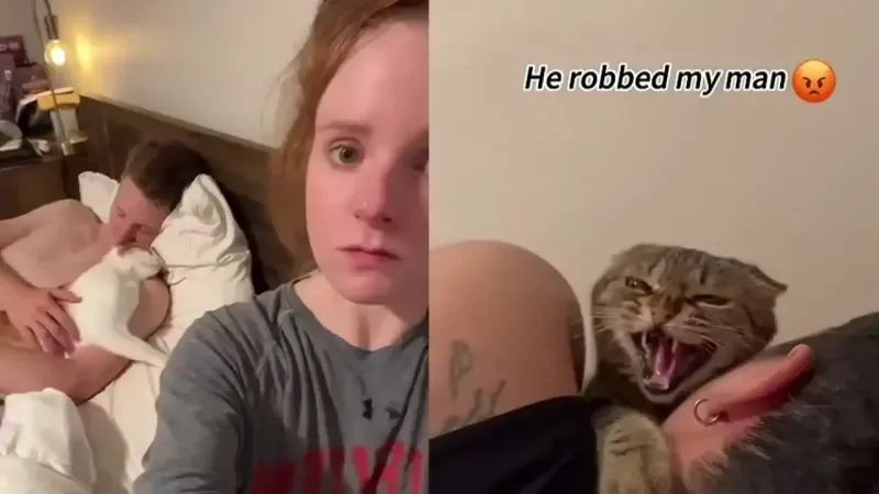 Девушки сняли на видео доказательства, что кошка запросто может увести мужчину