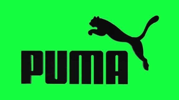 Малые кошки. Пума и интересные факты о ней