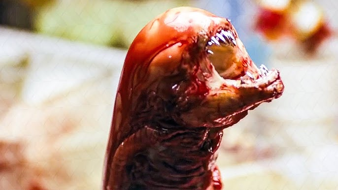 Грудолом (Chestburster) — начало ужаса