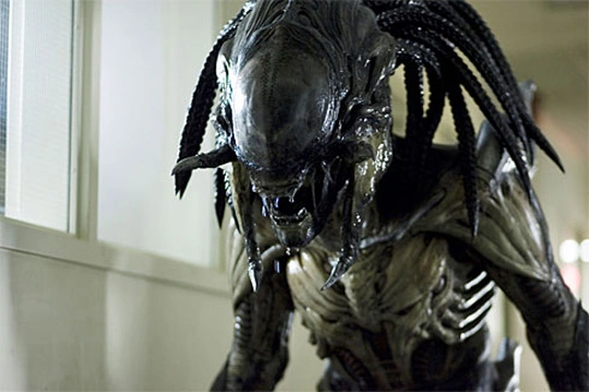 Предалиен (Predalien) — гибрид ксеноморфа и Хищника